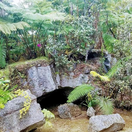 'Ama'U Lani Cottage Volcano Dış mekan fotoğraf