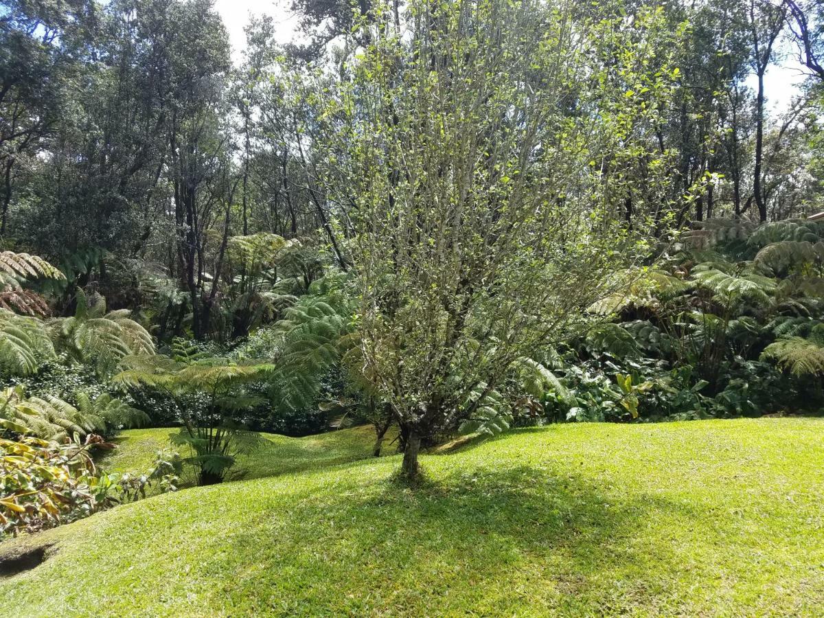 'Ama'U Lani Cottage Volcano Dış mekan fotoğraf