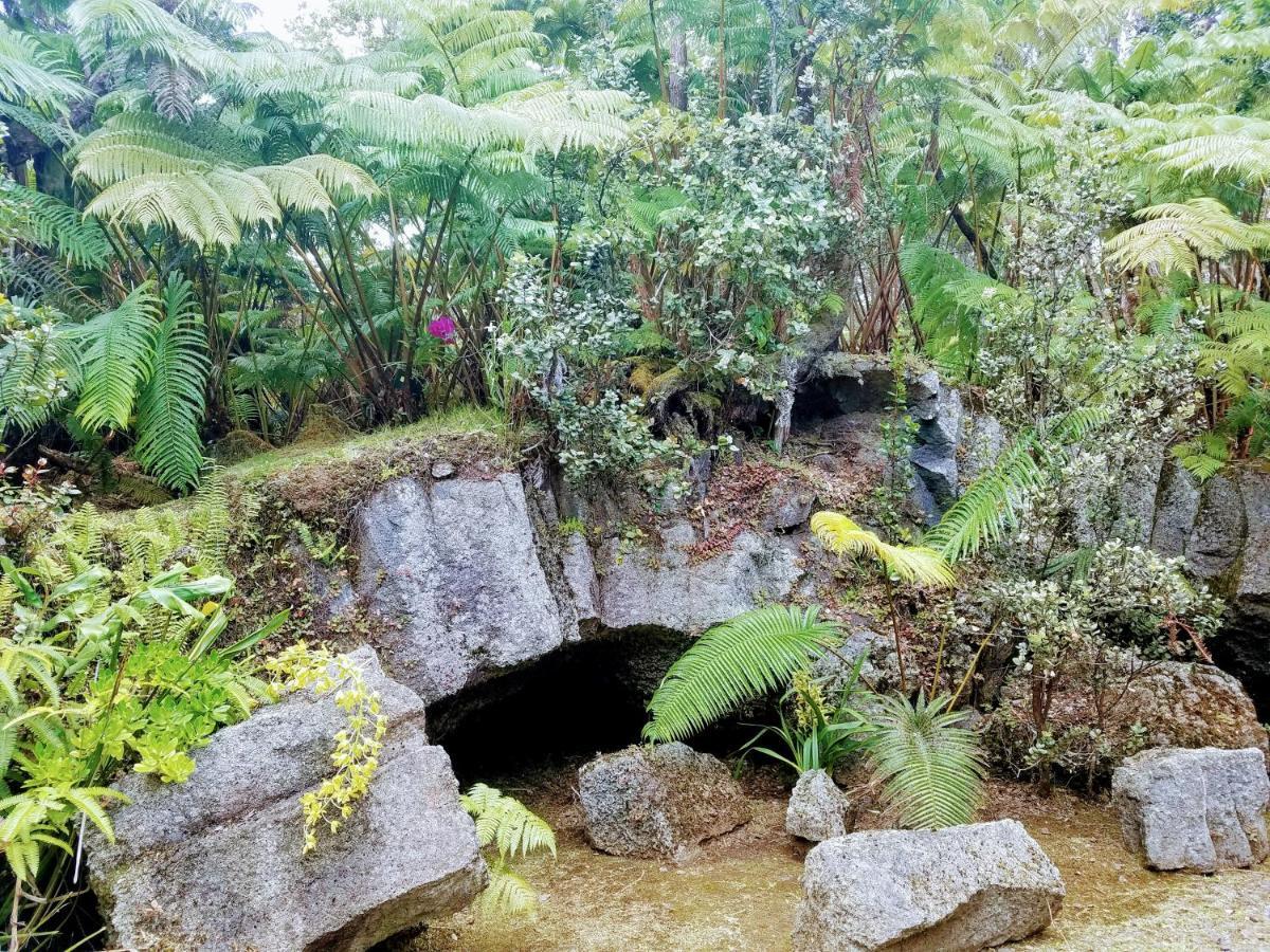 'Ama'U Lani Cottage Volcano Dış mekan fotoğraf