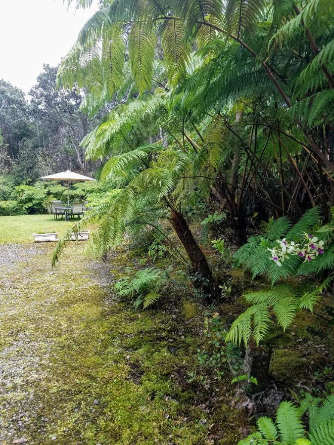 'Ama'U Lani Cottage Volcano Dış mekan fotoğraf